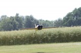 IMG 7842